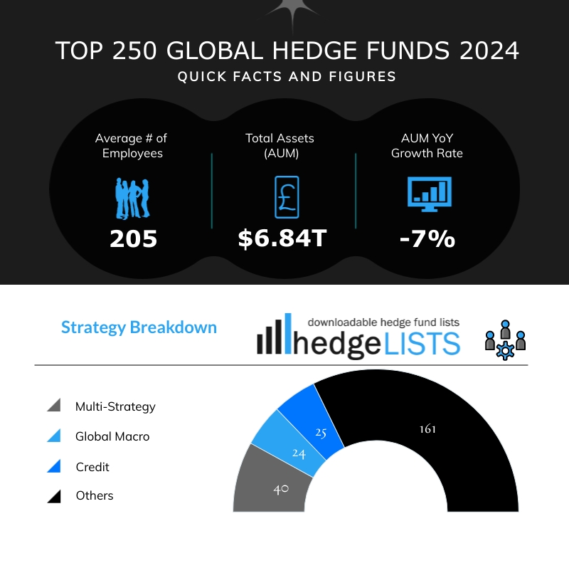 Top 250 Global Hedge Funds 2024 Infographic