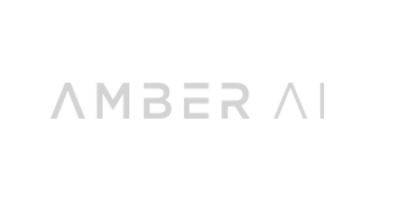 Amber AI Group logo