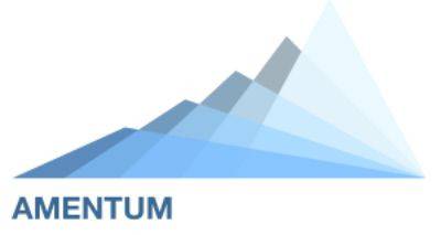 Amentum Investment Management logo