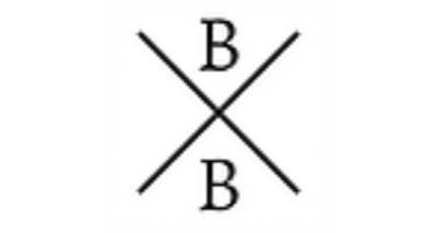 Block by Block Capital logo
