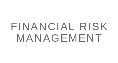 Financial Risk Management logo