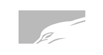 Permian Capital Management logo
