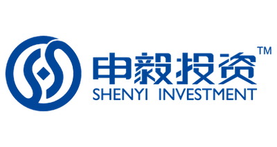 Shanghai Shenyi Investment Co Ltd logo