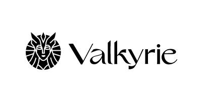 Valkyrie Investments logo