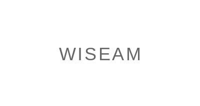 WiseAM logo